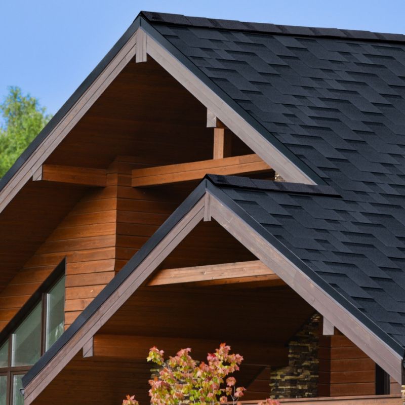 Гибкая черепица Shinglas (Шинглас) Ультра Фокстрот Ольха